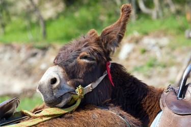 Similar image 440423