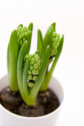 Similar image 440427