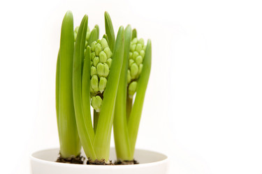 Similar image 440428