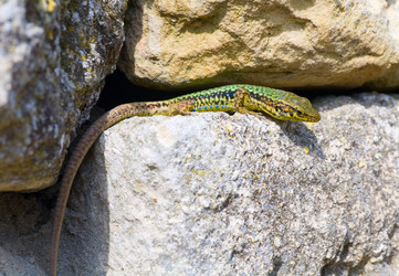 Similar image 440430