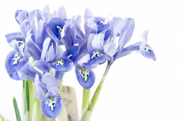 Similar image 440433