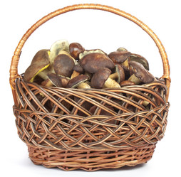 Similar image 440463