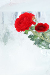 Similar image 440483