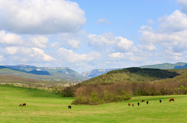 Similar image 440556