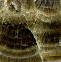 Similar image 440559