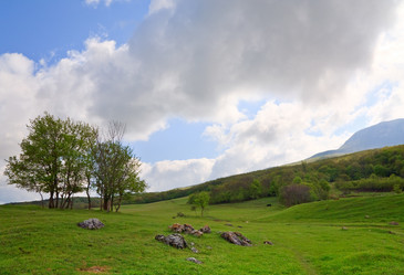 Similar image 440561