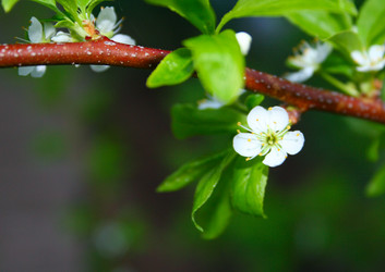 Similar image 440620