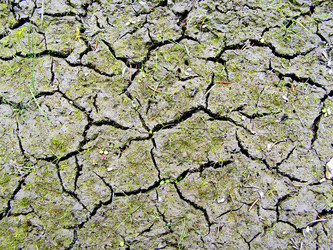 Similar image 440628