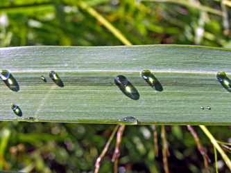 Similar image 440651