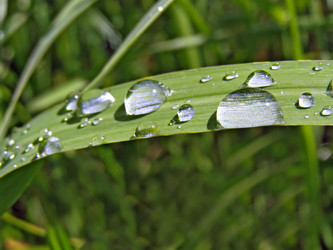 Similar image 440653