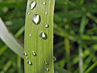 Similar image 440654