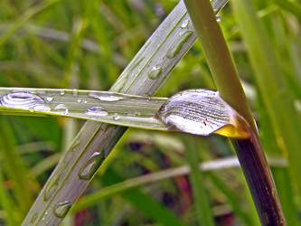 Similar image 440658