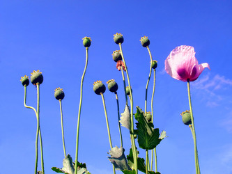 Similar image 440697