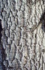 Similar image 440863