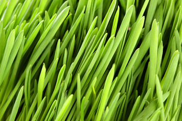 Similar image 440914