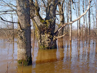 Similar image 440917