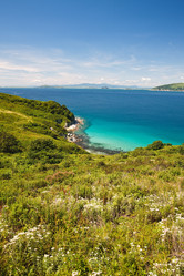 Similar image 440920