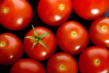 Similar image 440921