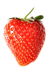 Similar image 440927