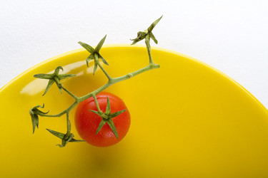 Similar image 440943