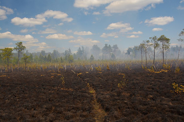 Similar image 440951