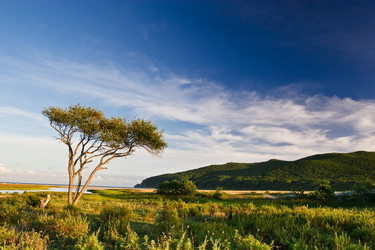 Similar image 440952