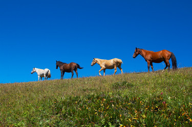 Similar image 440957