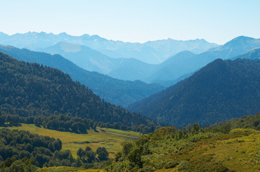 Similar image 440962