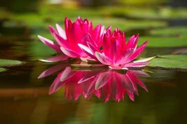 Similar image 440966