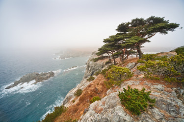 Similar image 440969