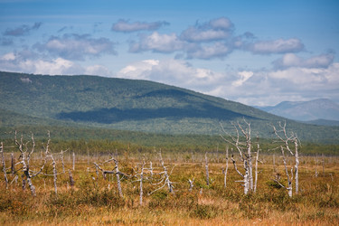 Similar image 440976