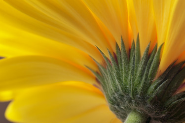 Similar image 440984