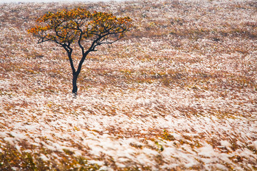 Similar image 440988