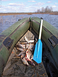 Similar image 440989