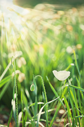 Similar image 440993