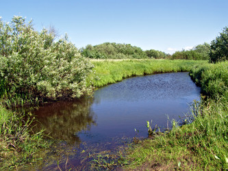 Similar image 441008