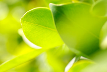 Similar image 441018