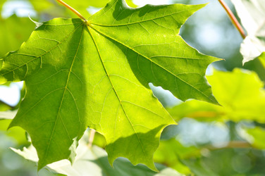 Similar image 441020