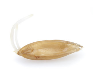 Similar image 441023