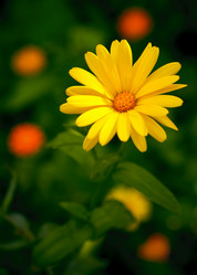 Similar image 441025