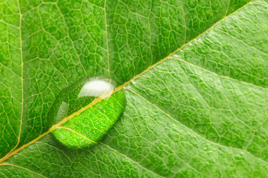 Similar image 441038