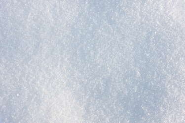 Similar image 441045