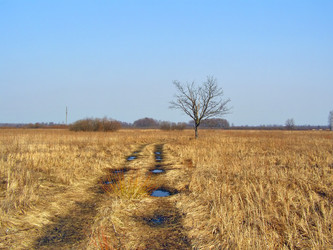 Similar image 441070