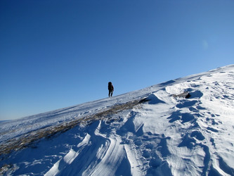 Similar image 441089