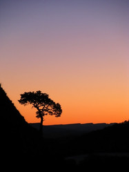 Similar image 441090