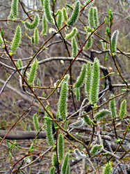 Similar image 441097