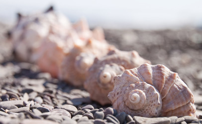 Similar image 441099