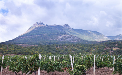 Similar image 441113