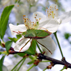 Similar image 441122