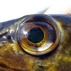 Similar image 441134